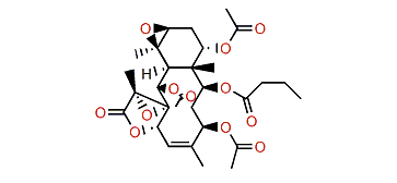 Stecholide A acetate